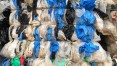 LDPE foil-colored bales